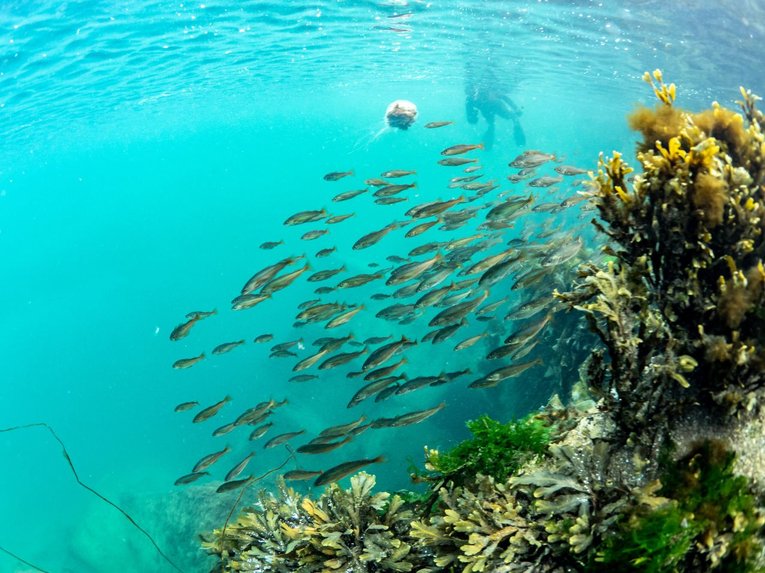 Orkney Scotland 2021