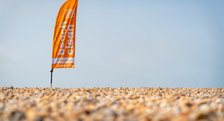 MCS_36697_RS36683_Great British Beach Clean 2024 -206909__Rose Bainbridge