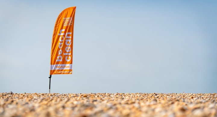 MCS_36697_RS36683_Great British Beach Clean 2024 -206909__Rose Bainbridge