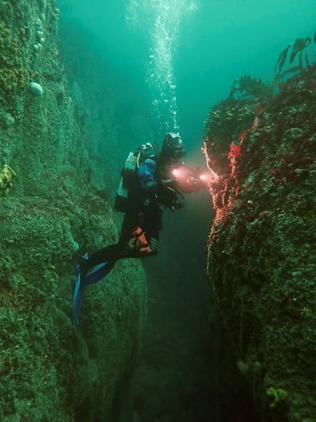 Libby - Seasearch Diver underwater