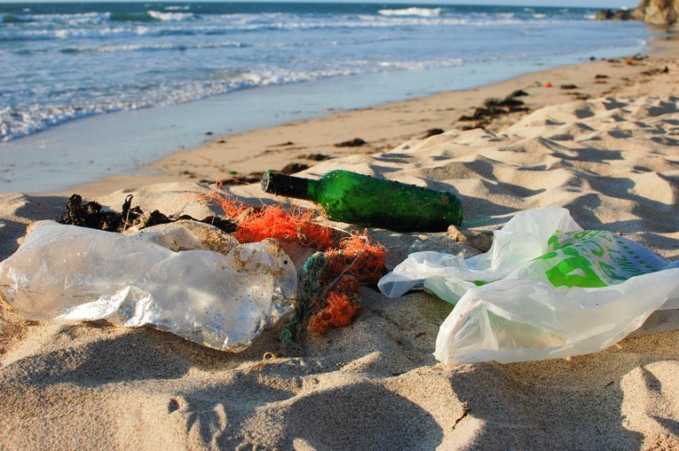 Beach litter Hayle Mar 2015