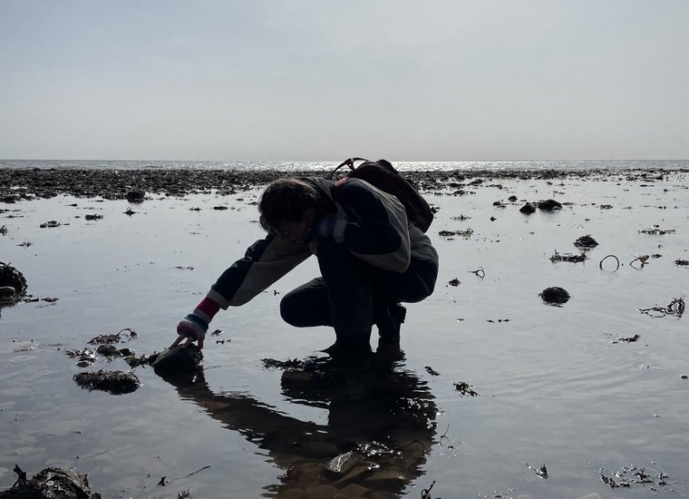 Rockpooling silhouette