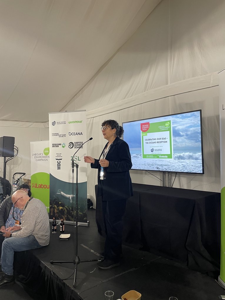 Sandy Luk speaking at 2024 labour conference