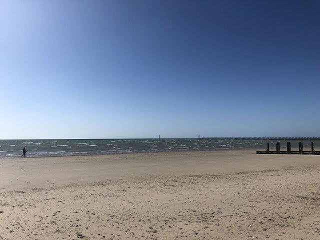 Sea champions beach clean.jpg