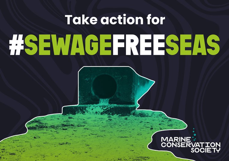 Sewage free seas campaign image