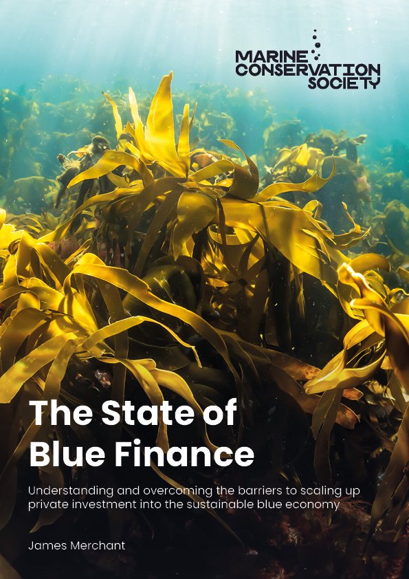 State of Blue Finance Report Front cover