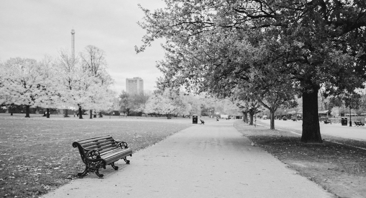 Hyde Park Black and White
