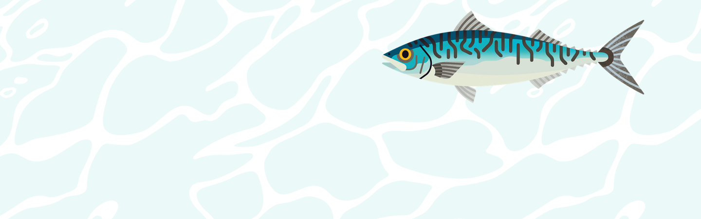 Mackerel background