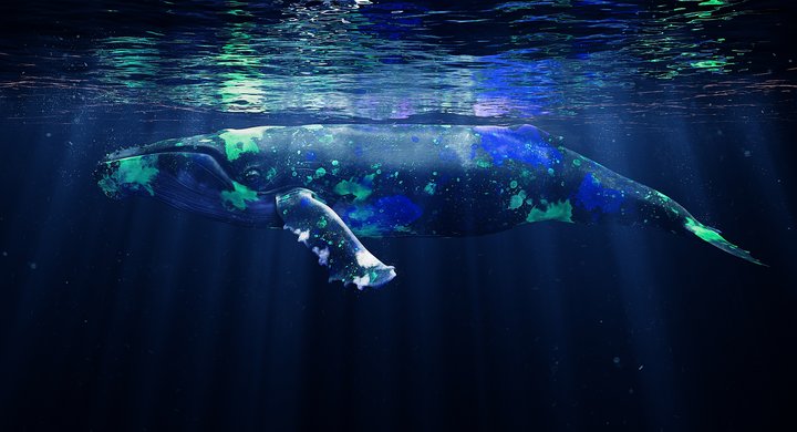 Chemical crime scene, Stop Ocean Poison, plain - Daughter Studios