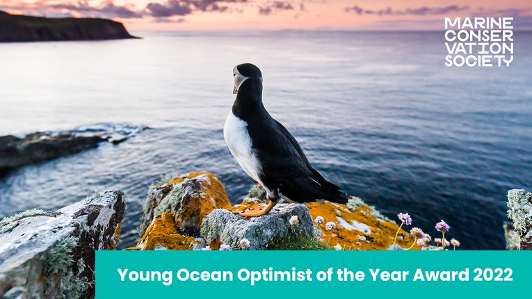 Young Ocean Optimist 2022 - TW