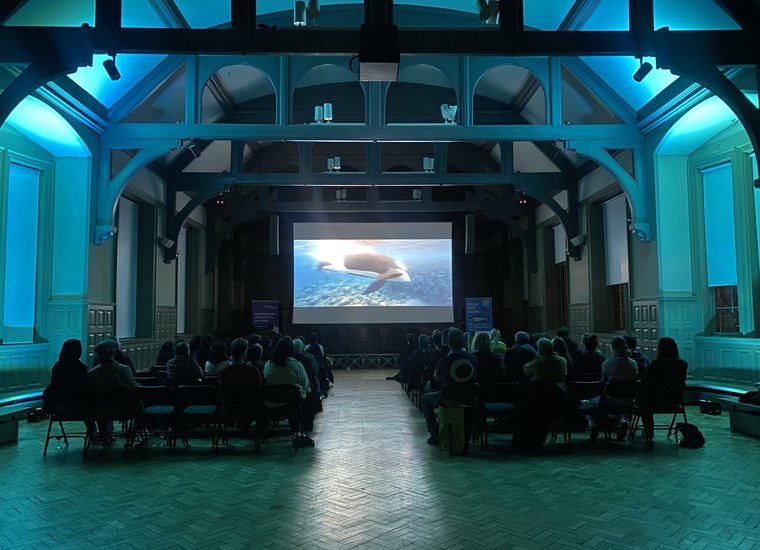 Ocean Film Screening