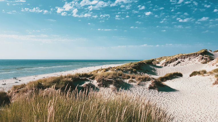 Beach in summer