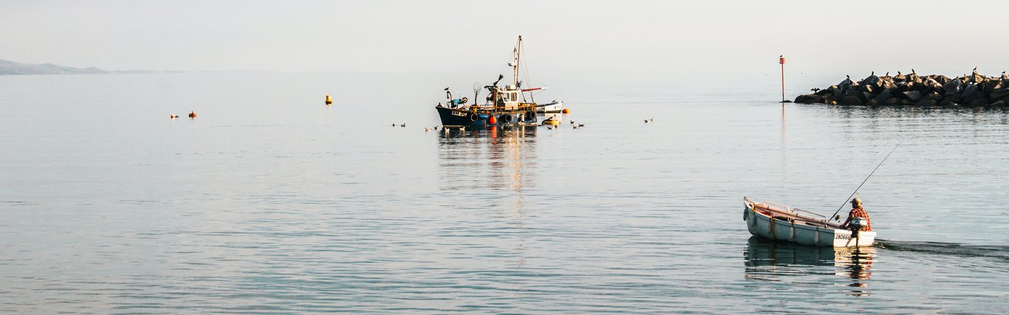 Fishing boats in Lyme Regis Michael Hutton