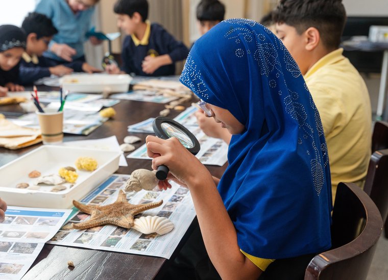 Activity, One Ocean Roadshow