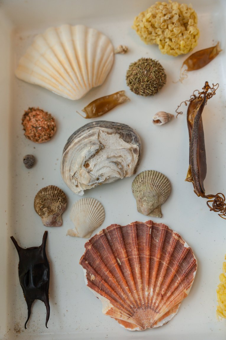 BioFacts, One Ocean Roadshow