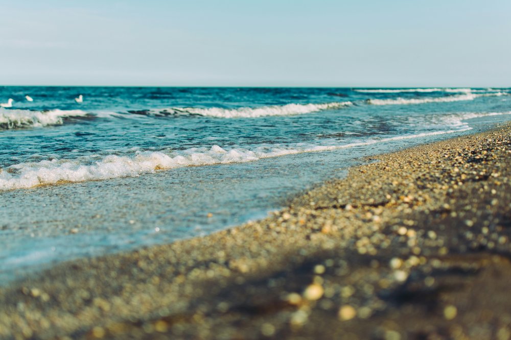 Positive ocean news: March 2024 | Ocean News | Marine Conservation Society - Vimarsana News