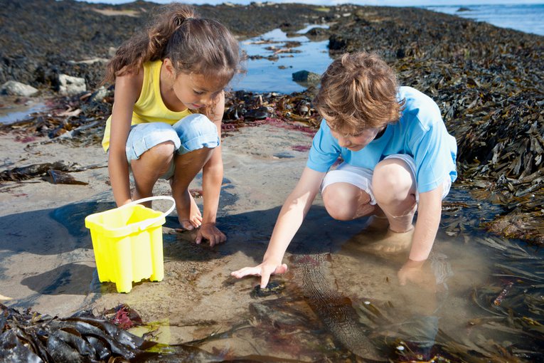 Children rock pooling