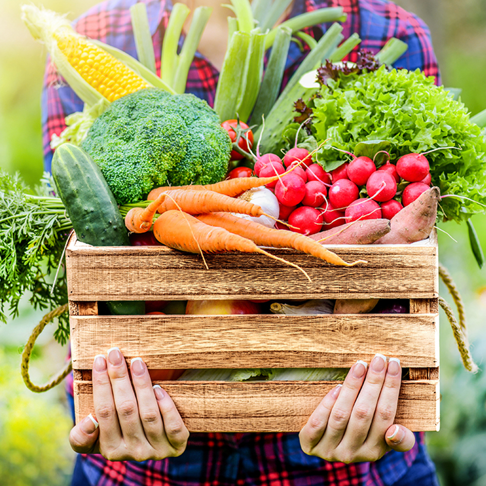 Homegrown vegetables