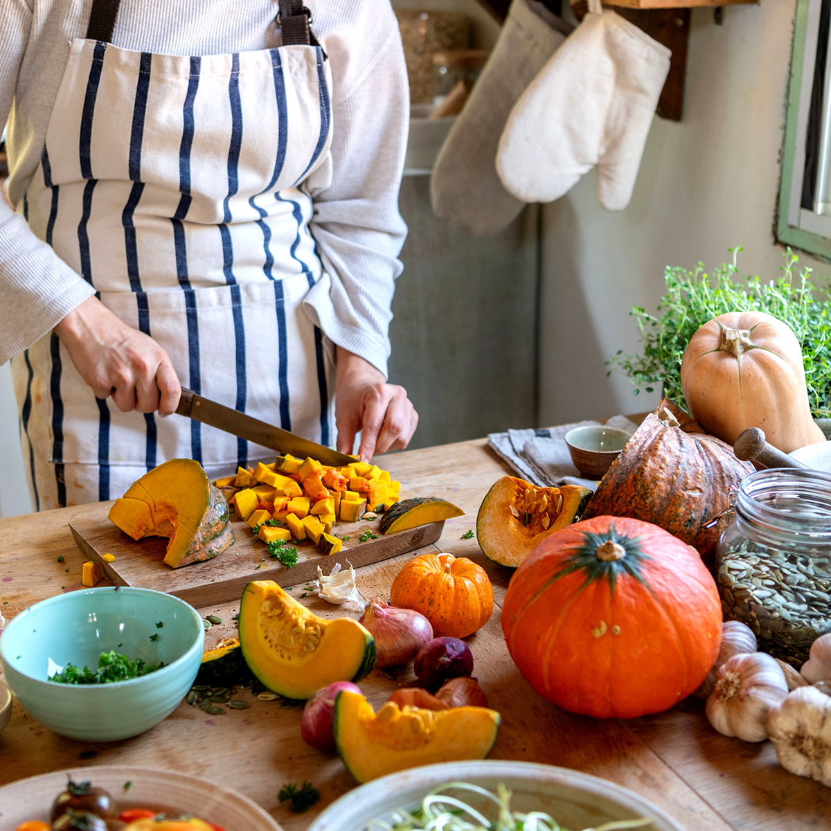 Click to read about autumn’s seasonal stars