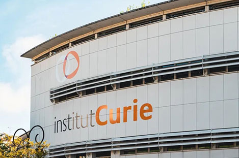 Institut Curie