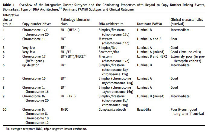 Overview of the Integrative Cluster Subtypes and the Dominating Properties