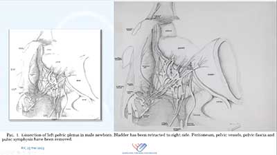 Scan of original drawing by Pieter Donker
