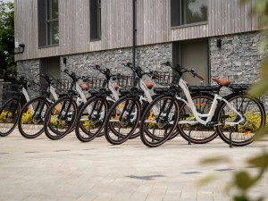 Hidden St Ives - Bike Hire