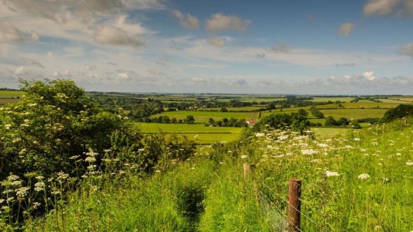 Lincolnshire Wolds National Landscape