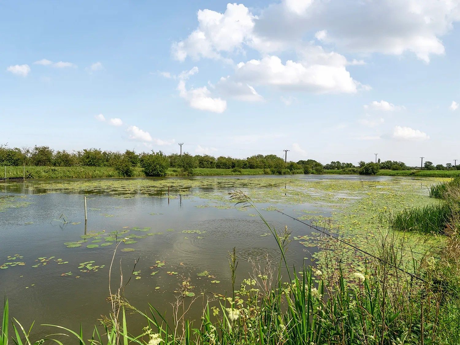 On-site lake