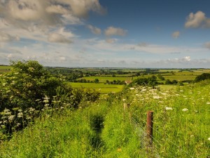 Lincolnshire Wolds National Landscape