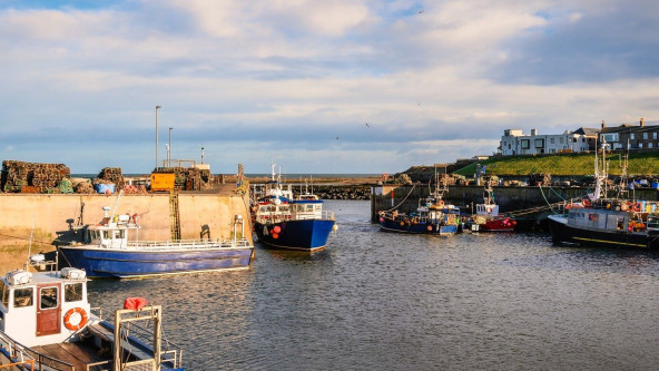 Seahouses