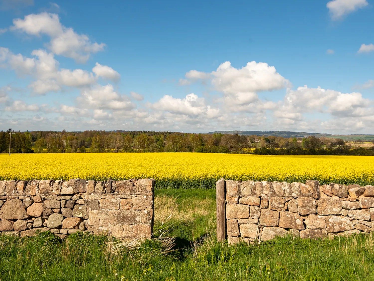 Countryside setting
