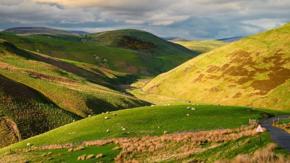 Cheviot Hills