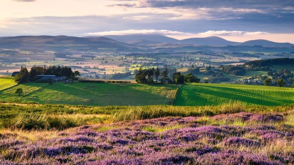 The Cheviot Hills