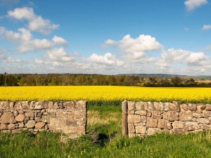 Countryside setting