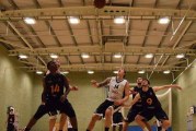 Swindon Shock sink the Sharks