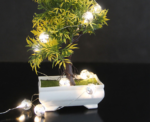 LED Gold Ball Fairy Light DC 3M in Multicolor - Image 
