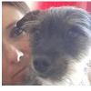 avatar de Muriel C.