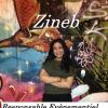 avatar de Zineb E.