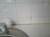 photo-0-Joints salle de bain et cuisine