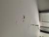 photo-2-Peinture