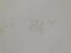 photo-0-Peinture salle de bain et cuisine