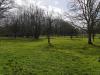 photo-0-Tonte et entretien