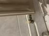 photo-0-Enlever Radiateur Salle de Bain