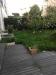 photo-1-Jardinage: Tondre la pelouse Jardin 60m2