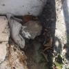 photo-2-Rebouchage au ciment