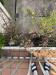 photo-1-Jardinage terasse