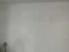 photo-0-Peinture blanche mur