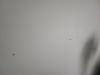 photo-1-Boucher des trous de perceuse  dans des murs