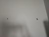 photo-2-Boucher des trous de perceuse  dans des murs